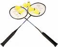 Badminton2